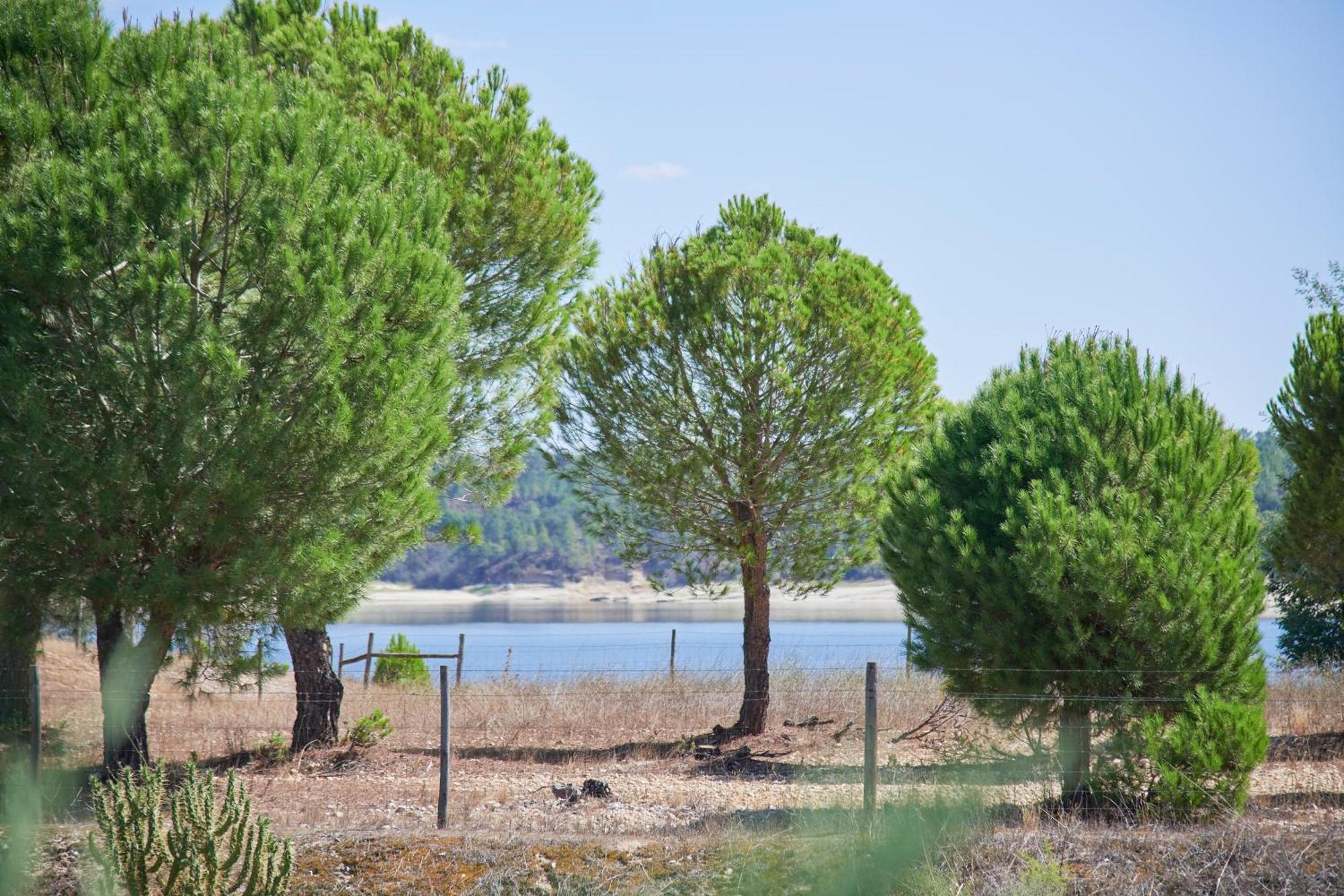 Lakeside Cabin Oasis W/ Ac, By Timecooler Montargil Bagian luar foto